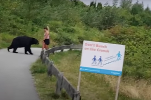 Đang tập thể dục gặp phải gấu hoang dã, cô gái bỏ chạy "thục mạng" tìm đường thoát