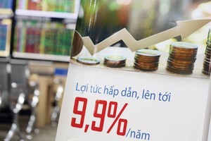 Nhà đầu tư cá nhân bén mùi trái phiếu doanh nghiệp