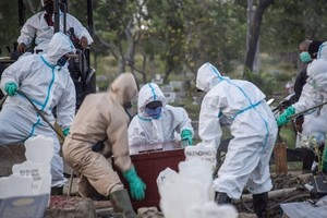Các nhân viên chôn cất nạn nhân Covid-19 tại nghĩa trang ở Đông Java, Indonesia, hôm 26/9. Ảnh: AFP.