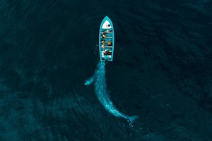 Những bức hình đẹp nhất, ấn tượng nhất của cuộc thi nhiếp ảnh Drone Photo Awards 2020