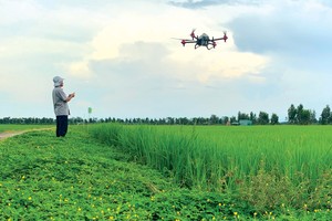 Ứng dụng công nghệ cao vào sản xuất nông nghiệp giúp gia tăng giá trị nông sản