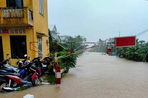 Đường ray đoạn qua một số tỉnh miền Trung bị ngập nước do mưa lũ lớn nên không thể tổ chức chạy tàu. (Ảnh: Facebook Câu lạc bộ đam mê Đường sắt).