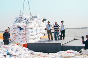 Sóng cổ phiếu phân bón nhờ lực đẩy từ chính sách