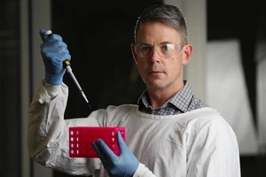 Phó giáo sư Nathan Bartlett, Trưởng khoa Miễn dịch virus tại Viện Nghiên cứu Y khoa Hunter, Australia. Ảnh Daily Telegraph.