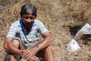 Đối tượng Trần Văn Hải cùng tang vật bị bắt giữ quả tang. (Ảnh: TTXVN phát).