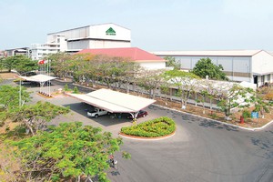 Bên cạnh việc đầu tư vào các công ty có liên quan, Thành Thành Công đầu tư vào nhiều cổ phiếu khác.