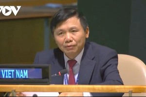 Đại sứ Đặng Đình Quý phát biểu tại phiên họp.