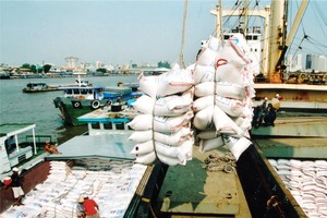 Hoạt động xuất khẩu gạo thuận lợi trong bối cảnh dịch Covid.