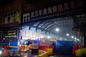 Chợ hải sản Hoa Nam ở Vũ Hán, tỉnh Hồ Bắc, Trung Quốc. (Nguồn: AFP/TTXVN).