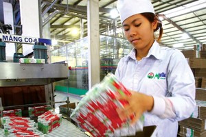 Nhờ cái bóng quá lớn của Vinamilk, cổ phiếu MCM được thơm lây. Ảnh: Dũng Minh.