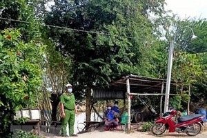 (Ảnh minh họa. Công Mạo/TTXVN)