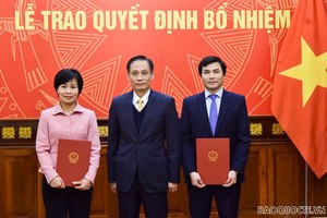 Thứ trưởng Lê Hoài Trung trao quyết định và chúc mừng các cán bộ được bổ nhiệm giữ chức vụ mới.