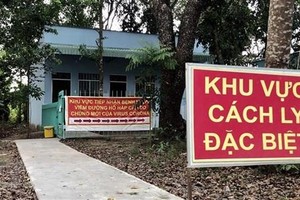 Ảnh minh họa. (Nguồn: TTXVN phát).