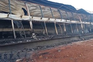 Trang trại nuôi lợn bị cháy rụi hoàn toàn. (Ảnh: TTXVN phát).