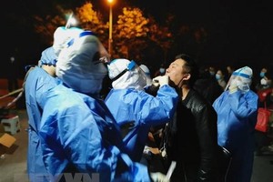 Ảnh minh họa (Nguồn: AFP/TTXVN).