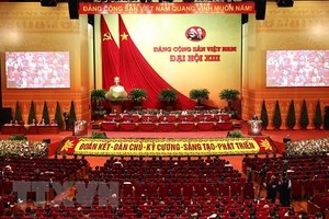 Phiên tham luận tại hội trường. (Ảnh: TTXVN).