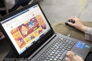 (Ảnh minh họa: Mỹ Phương/TTXVN).