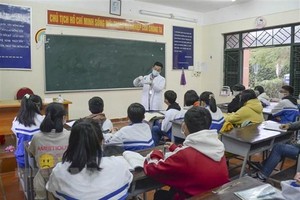 (Ảnh minh họa. Xuân Tư/TTXVN).