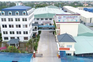 Thuận Đức (TDP) đứng trước thách thức chi phí đầu vào tăng mạnh