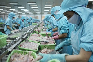 Mỹ đang là thị trường xuất khẩu lớn nhất của Việt Nam với các sản phẩm tiêu dùng như dệt may, thủy sản, đồ gỗ nội thất…