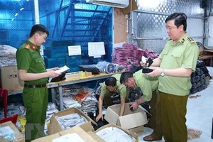 Lực lượng chức năng kiểm tra, niêm phong toàn bộ số hàng vi phạm. (Ảnh: Thùy Dung/TTXVN).