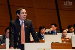 Ông Bùi Thanh Sơn phát biểu tại Quốc hội.