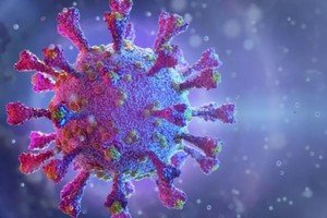 Đồ họa về virus SARS-CoV-2. Nguồn: ShutterStock.