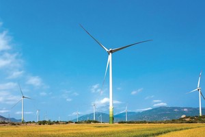 Cuộc đua điện gió đếm ngược giờ G