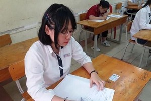 (Ảnh minh họa: Phạm Mai/Vietnam+).