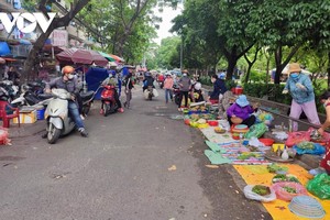 Chợ tự phát tại TP.HCM.