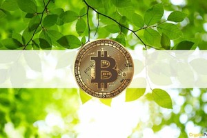 Giá Bitcoin hôm nay ngày 25/6: Nhận trợ lực mới, giá Bitcoin hồi phục lên trên 35.000 USD