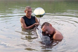 Chú cá heo may mắn được những người dân địa phương phát hiện và giải cứu.