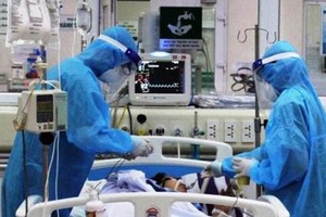 3 ca tử vong do Covid-19 tại TP.HCM, Đà Nẵng và Bắc Giang