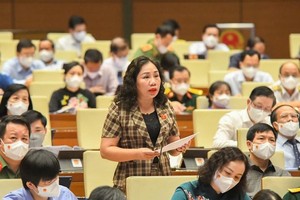 Bà Trần Thị Hiền, đại biểu Quốc hội tỉnh Hà Nam phát biểu tại Hội trường sáng 27/7.