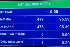 Quốc hội biểu quyết phê chuẩn uyết toán ngân sách nhà nước năm 2019.