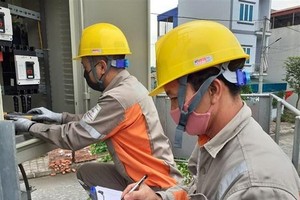 Ảnh minh họa. (Nguồn: TTXVN).