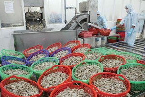 Việt Nam ngày càng quan trọng với vai trò là mắt xích then chốt trong chuỗi cung ứng.