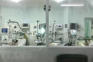 (Ảnh minh họa: TTXVN phát).