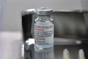 Vaccine ngừa COVID-19 của hãng dược Moderna. (Ảnh: AFP/TTXVN).