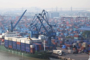 Giá cước vận tải biển đã tăng gấp đôi, thậm chí gấp 6 -10 lần so với trước đại dịch.