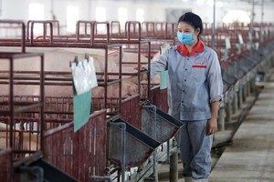 Ngành chăn nuôi đang khó khăn, nhưng kỳ vọng nhu cầu tiêu thụ sẽ phục hồi trong quý IV/2021.