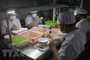 Sơ chế sản phẩm yến tinh tại cơ sở yến sào Du Long, Thành phố Rạch Giá (Kiên Giang). (Ảnh: Lê Huy Hải/TTXVN).