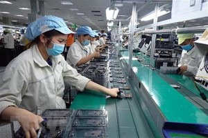 Ảnh minh họa. (Nguồn: TTXVN).