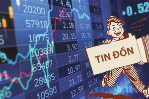 Nhà đầu tư cá nhân thường ham kiếm lời nhanh khi đua theo cổ phiếu tăng nóng vì tin đồn.