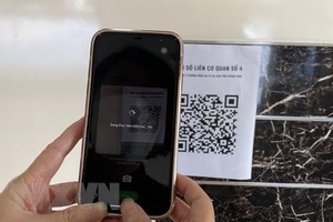 Ảnh minh họa. (TTXVN)