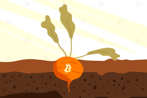 Giá Bitcoin hôm nay ngày 12/11: Giới đầu tư kỳ vọng bản nâng cấp Taproot sẽ đem đến luồng gió mới cho Bitcoin