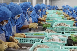 Các doanh nghiệp thủy sản đang hồi phục sản xuất.