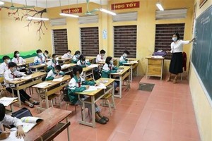 Ảnh minh họa. (Ảnh: Thanh Tùng/TTXVN).