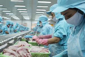 Cổ phiếu thủy sản qua cơn bĩ cực