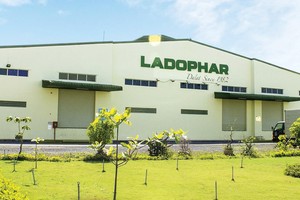 Ladophar là doanh nghiệp nhỏ, hoạt động kinh doanh kém hiệu quả.